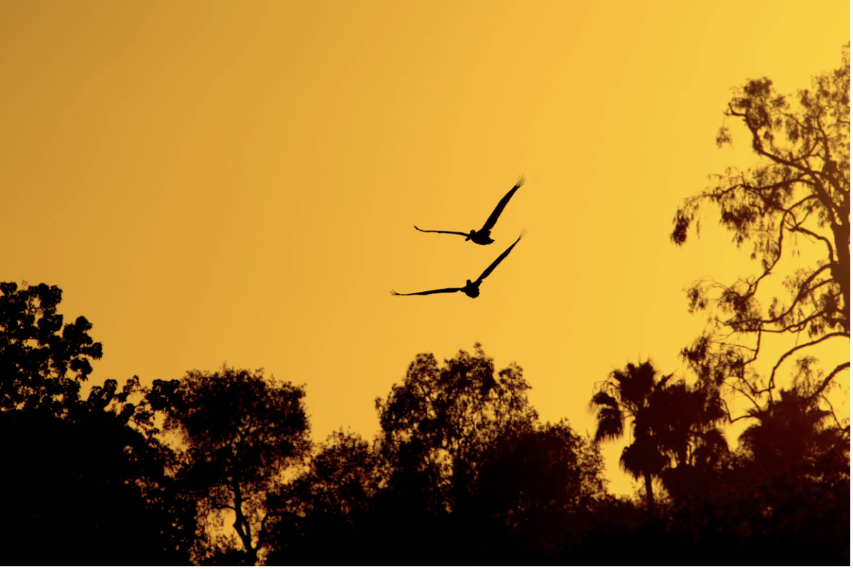 Tierrablanca enjoys photographing nature.
Image credit: Jose Tierrablanca