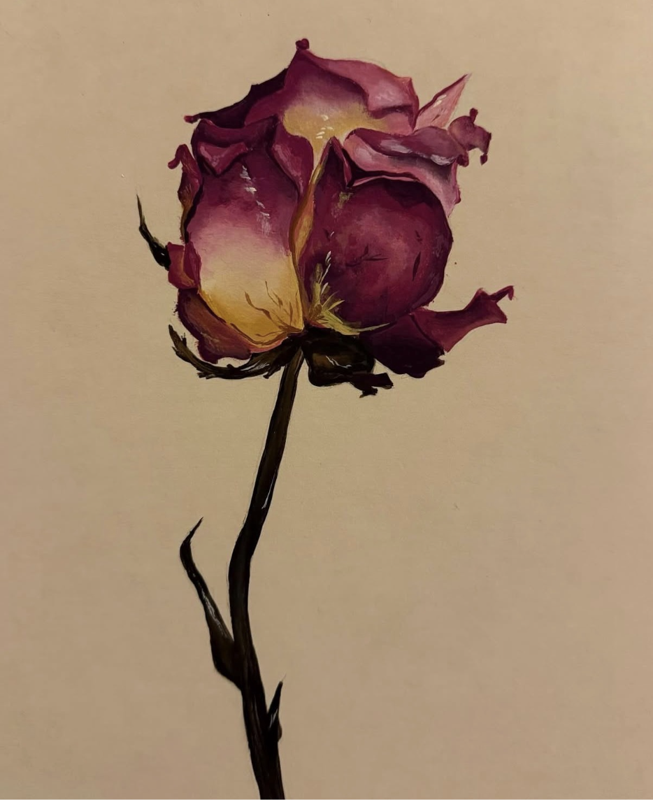 One of Fitzgerald's detailed art pieces of a rose.
Image courtesy of Shae Fitzgerald