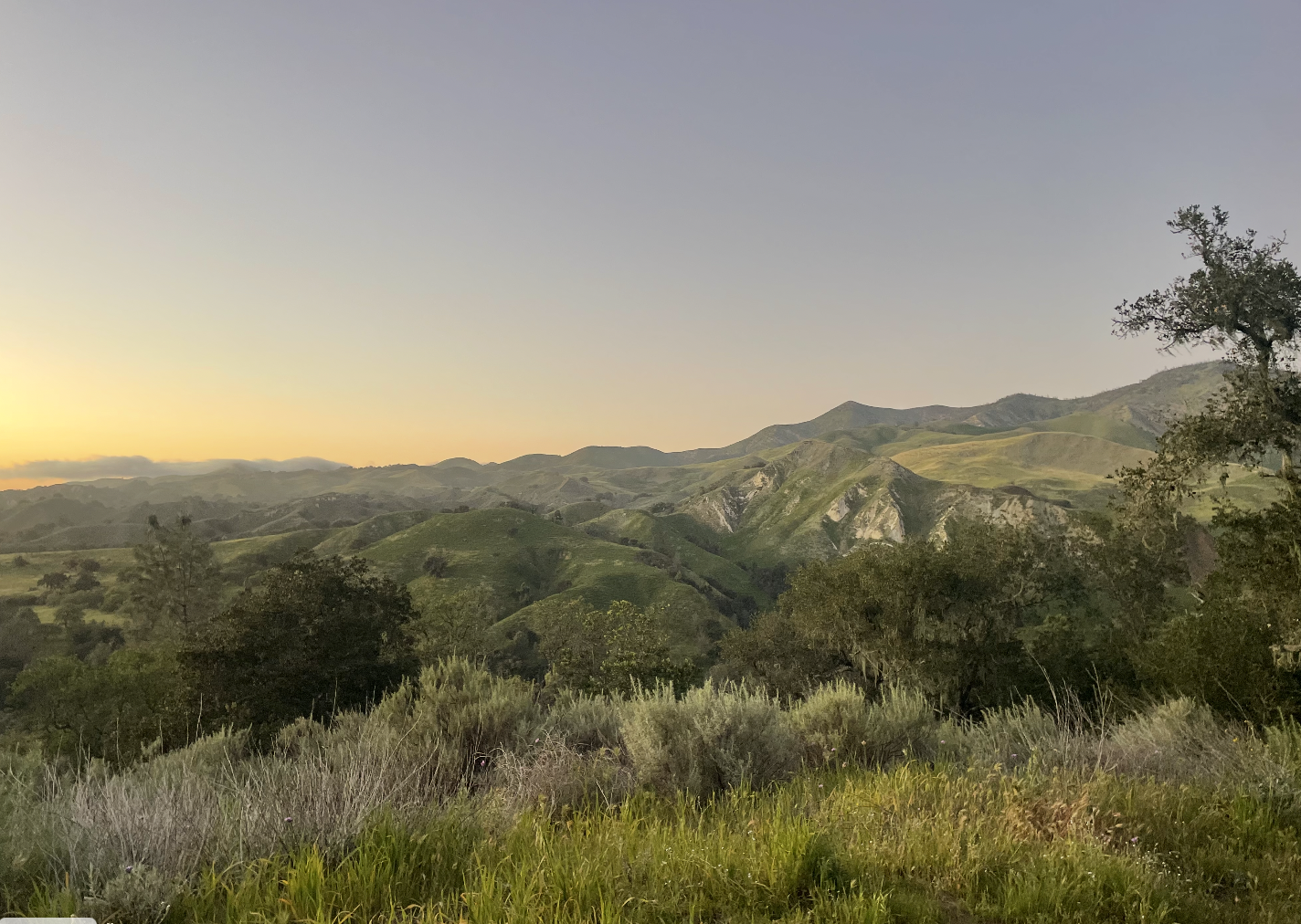 Los Olivos, California. Image credit: Jordan Volz
