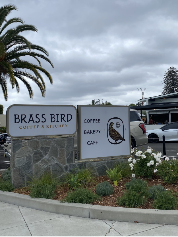 Students flock to Brass Bird Coffee & Kitchen
Photo Credit: Annabelle Tiller
